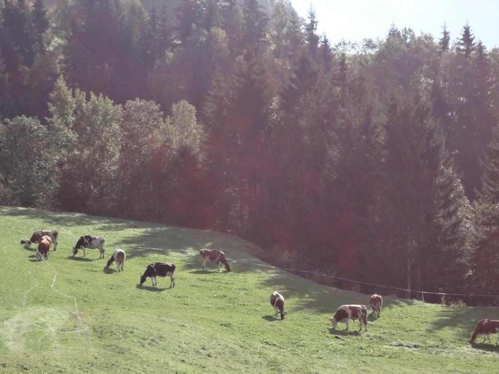 Gastehaus Biobauernhof Brennsteinhof Appartamento Mittersill Esterno foto